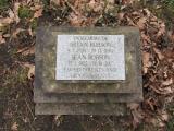 image of grave number 966086